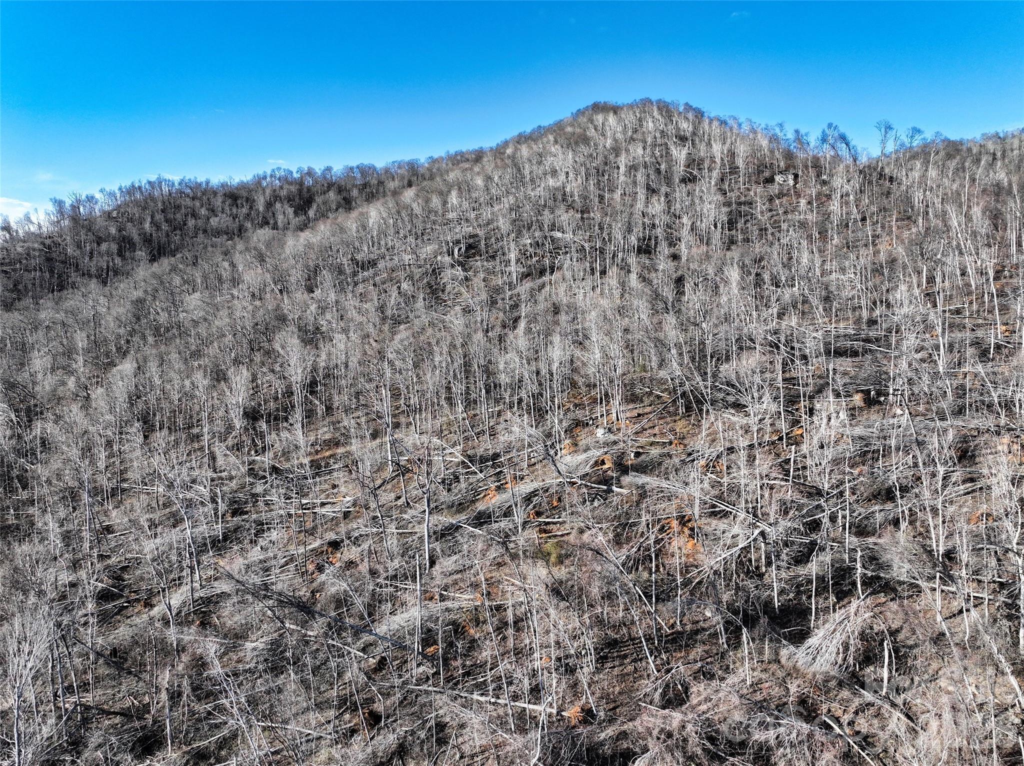 0 Fork Mountain Road Bakersville, NC 28705 - Photo 14 of 45 a large mountain in the distance