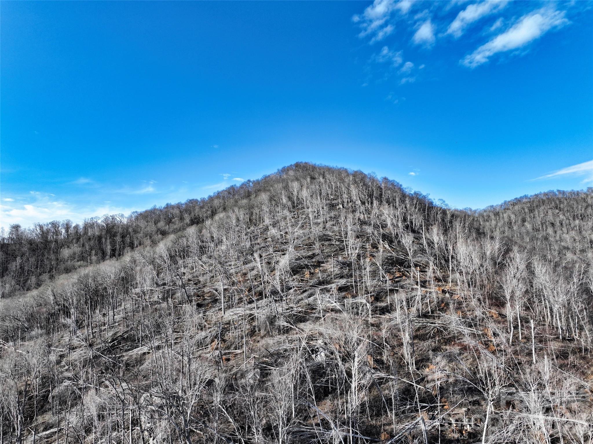 0 Fork Mountain Road Bakersville, NC 28705 - Photo 15 of 45 a view of a large building