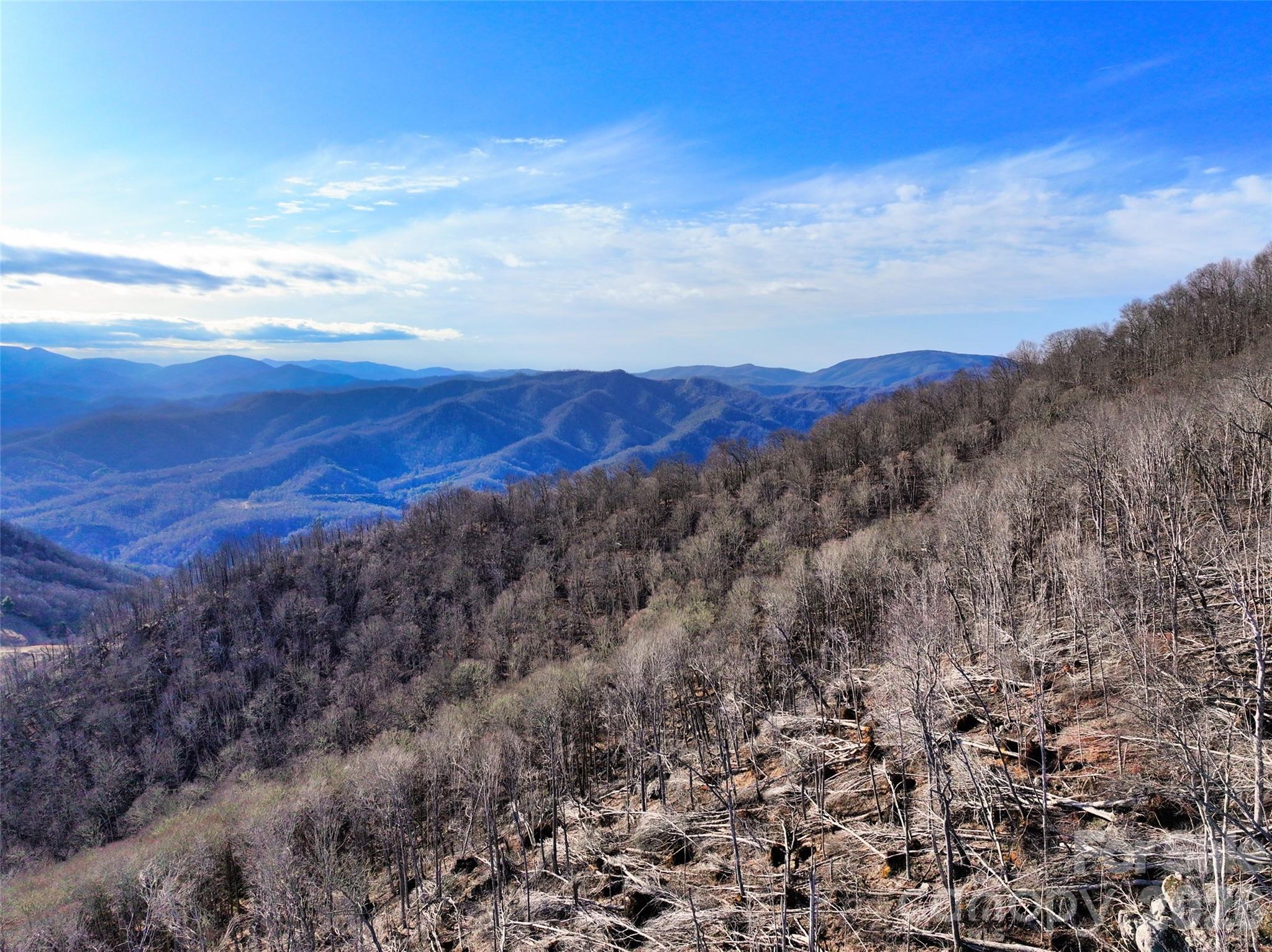 0 Fork Mountain Road Bakersville, NC 28705 - Photo 17 of 45