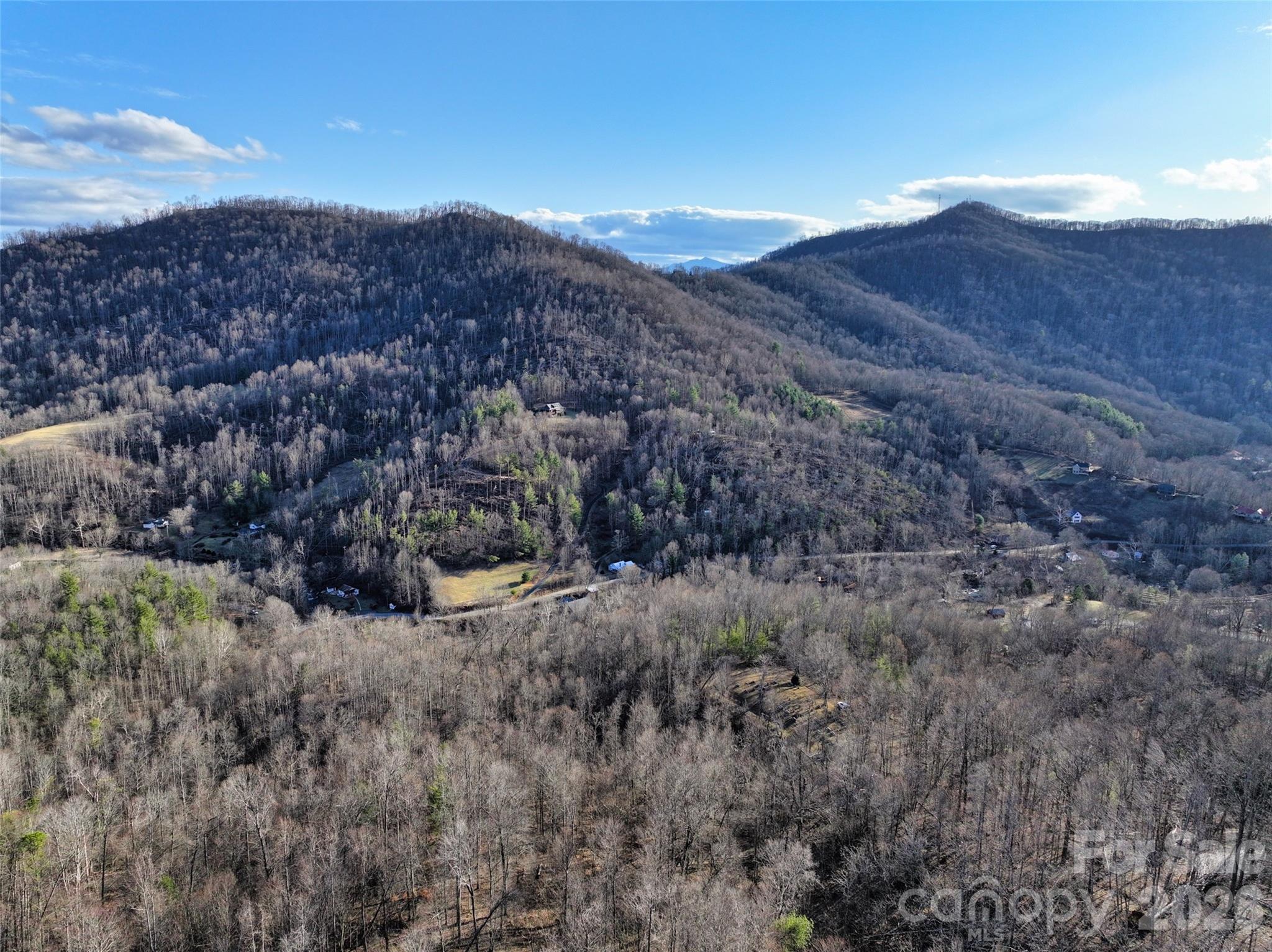 0 Fork Mountain Road Bakersville, NC 28705 - Photo 26 of 45 a view of a dry field