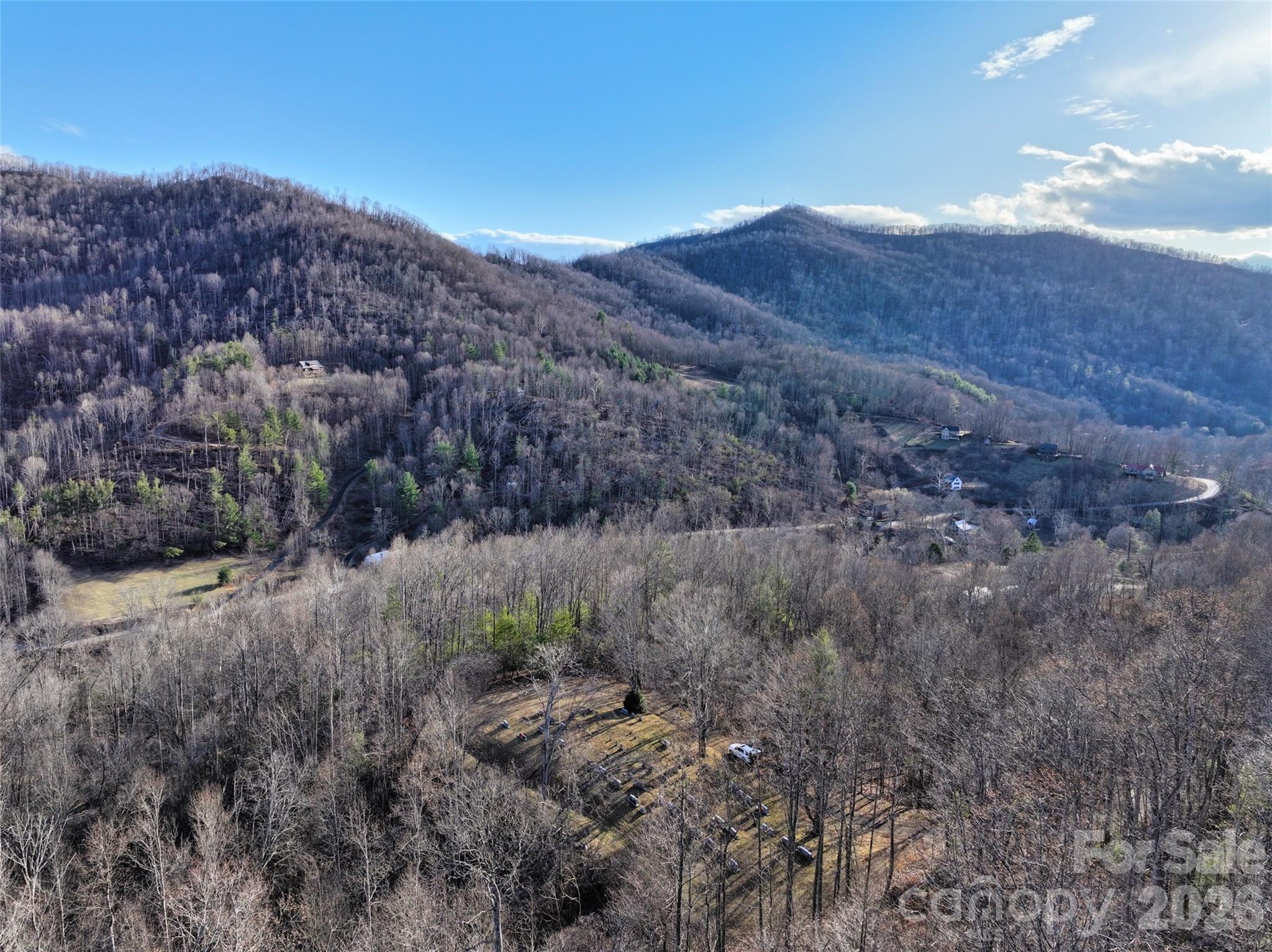 0 Fork Mountain Road Bakersville, NC 28705 - Photo 28 of 45 a view of a dry yard
