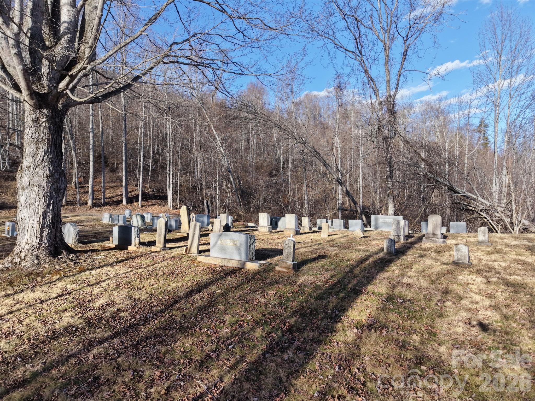 0 Fork Mountain Road Bakersville, NC 28705 - Photo 30 of 45 a view of a fire pit with large trees