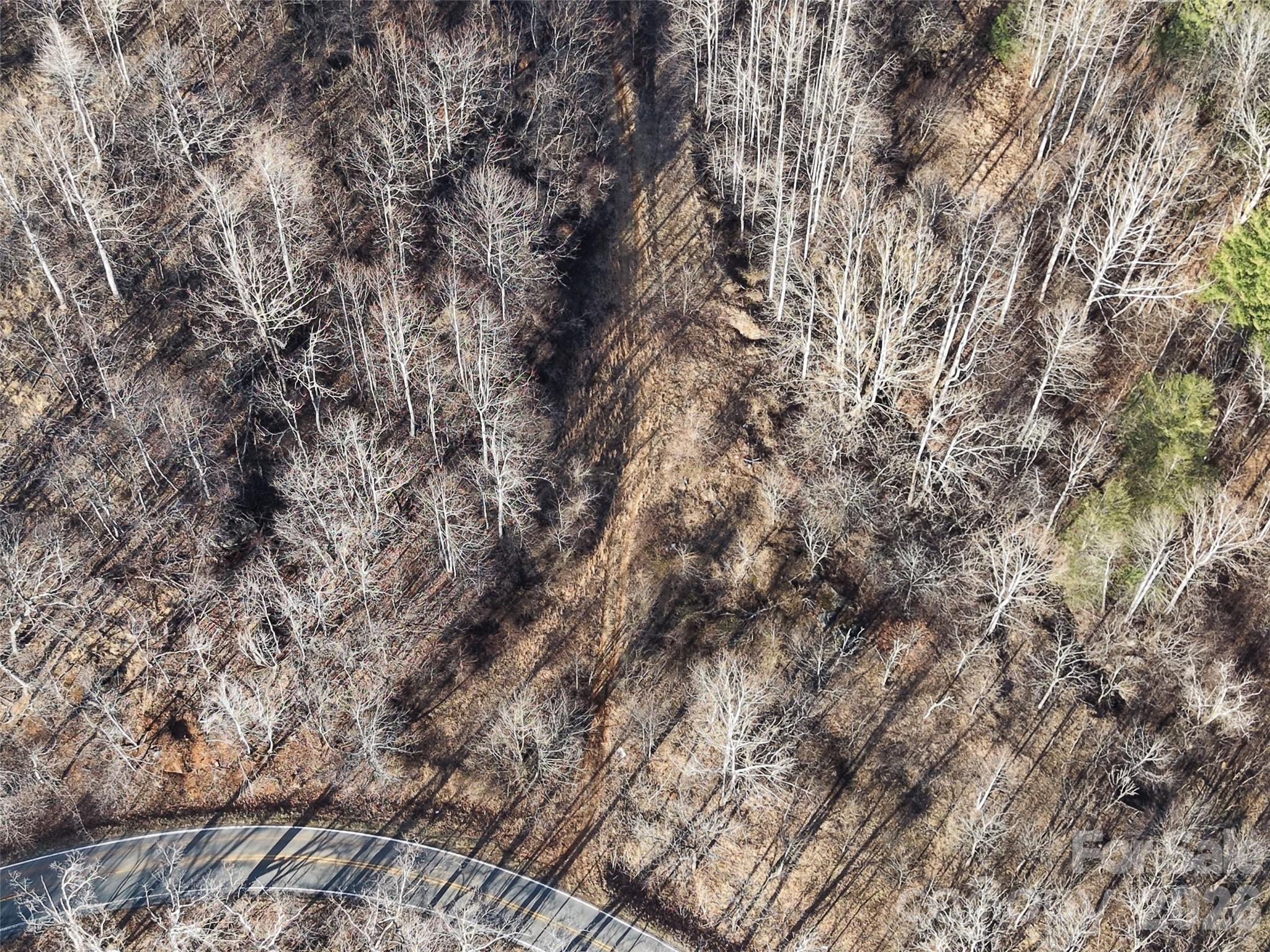 0 Fork Mountain Road Bakersville, NC 28705 - Photo 32 of 45 a view of a yard