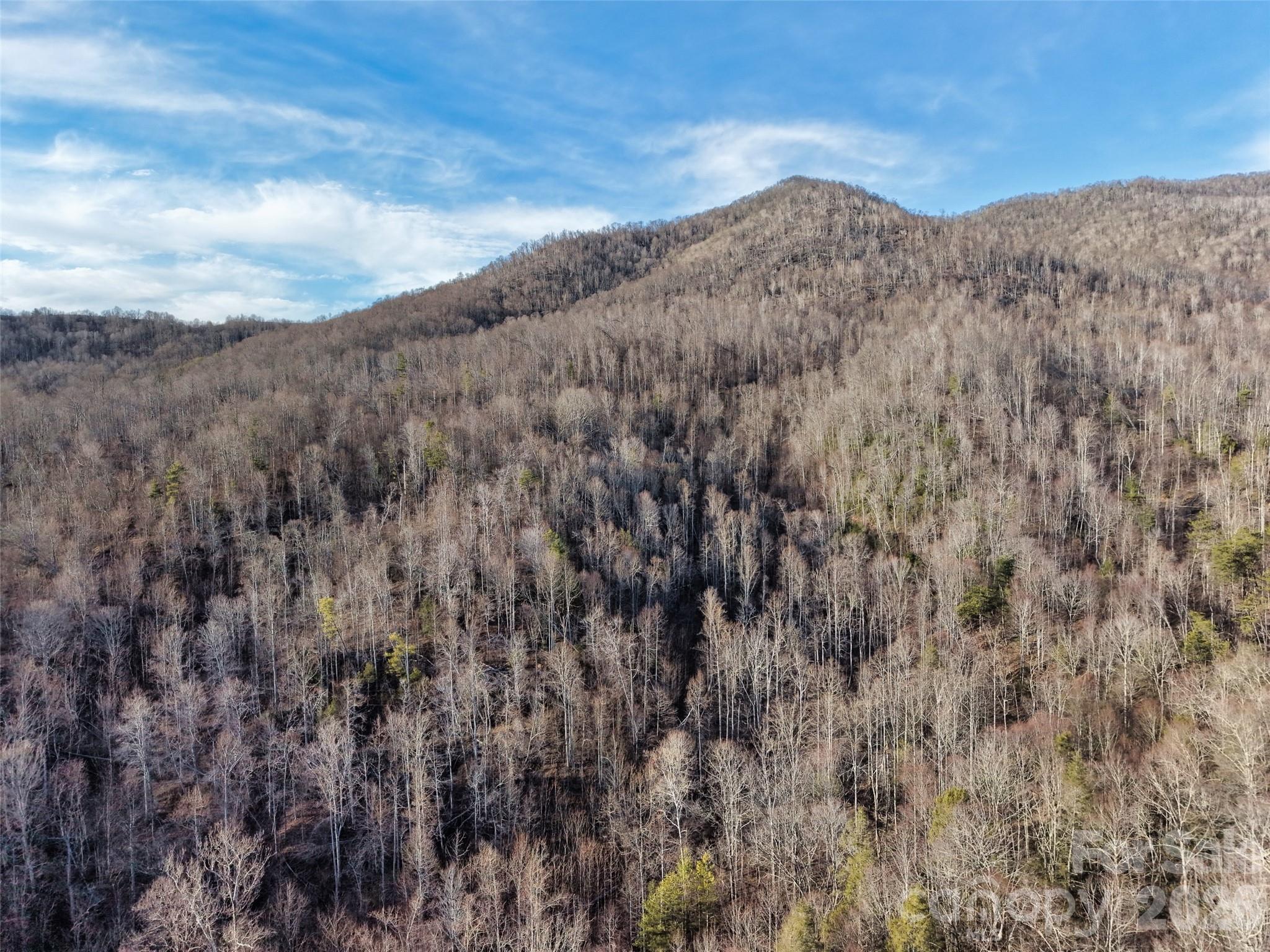 0 Fork Mountain Road Bakersville, NC 28705 - Photo 33 of 45 a view of a dry yard