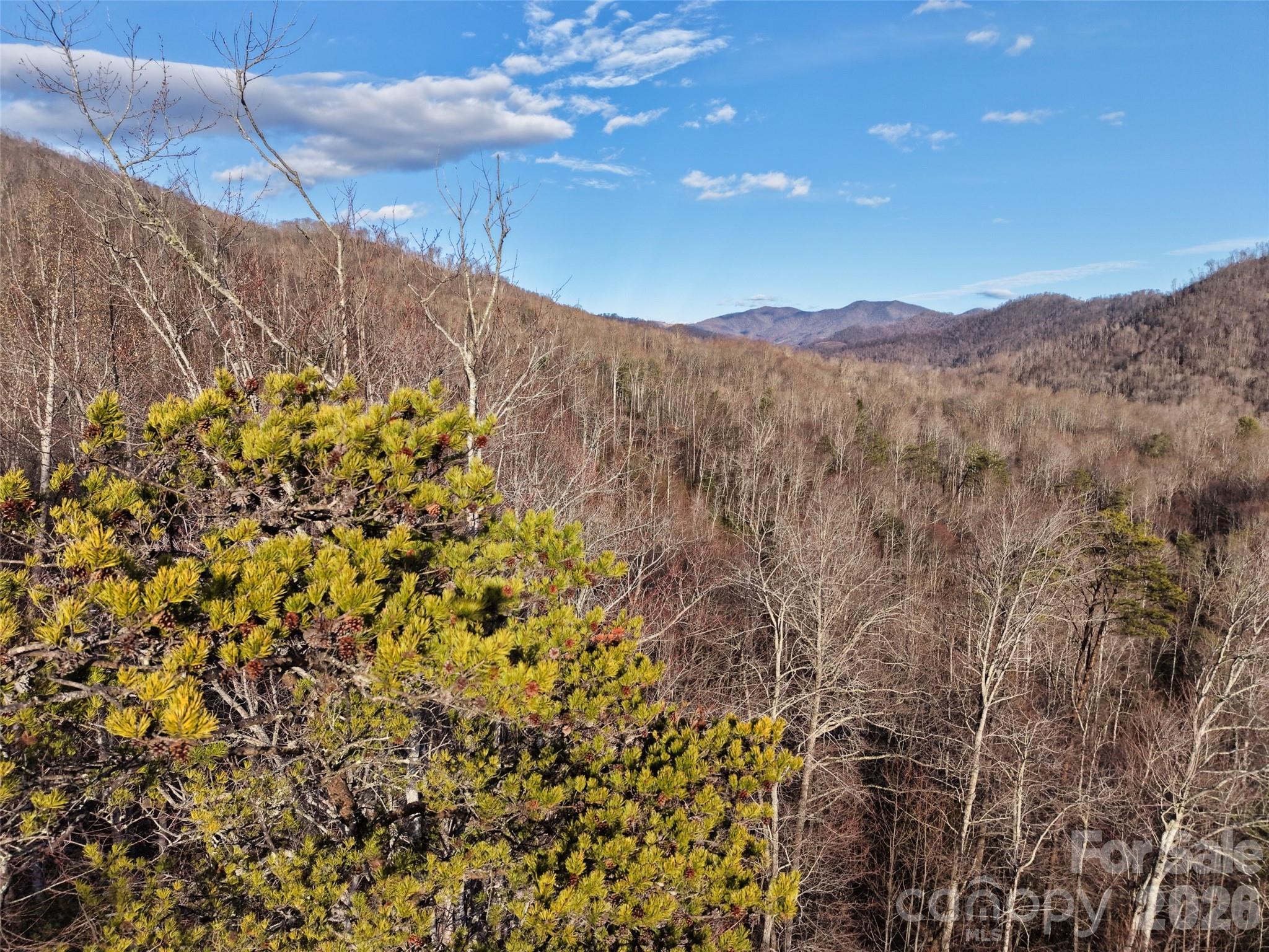 0 Fork Mountain Road Bakersville, NC 28705 - Photo 34 of 45 a view of a dry yard with mountains in the background