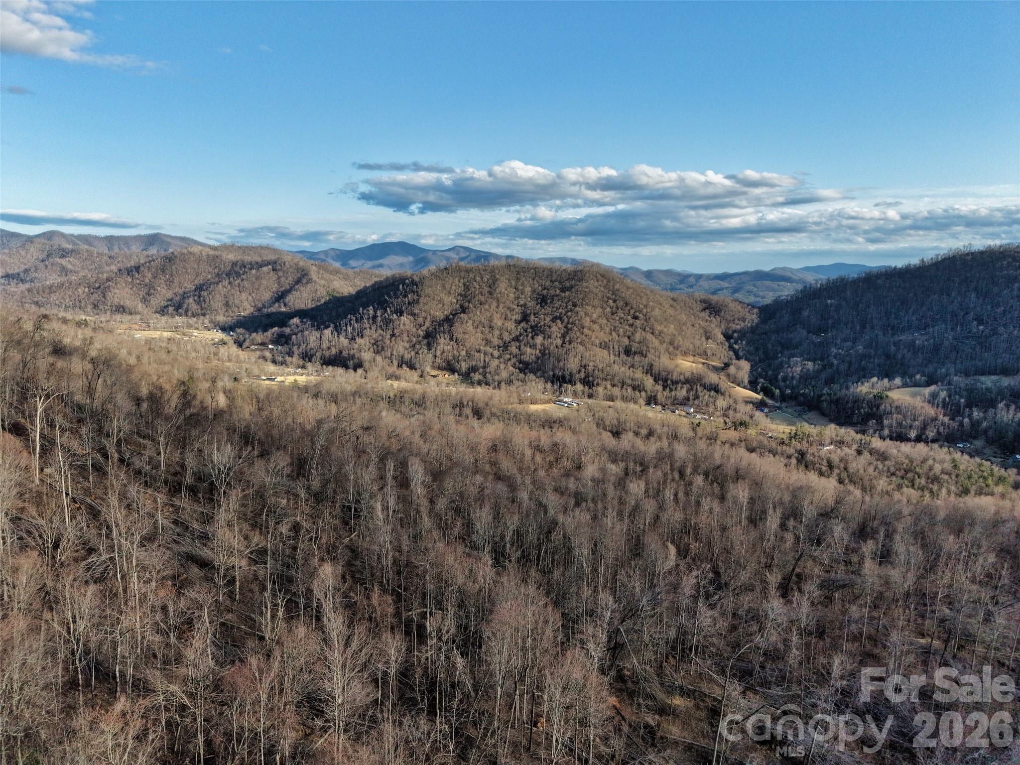 0 Fork Mountain Road Bakersville, NC 28705 - Photo 39 of 45 a view of mountain with lake