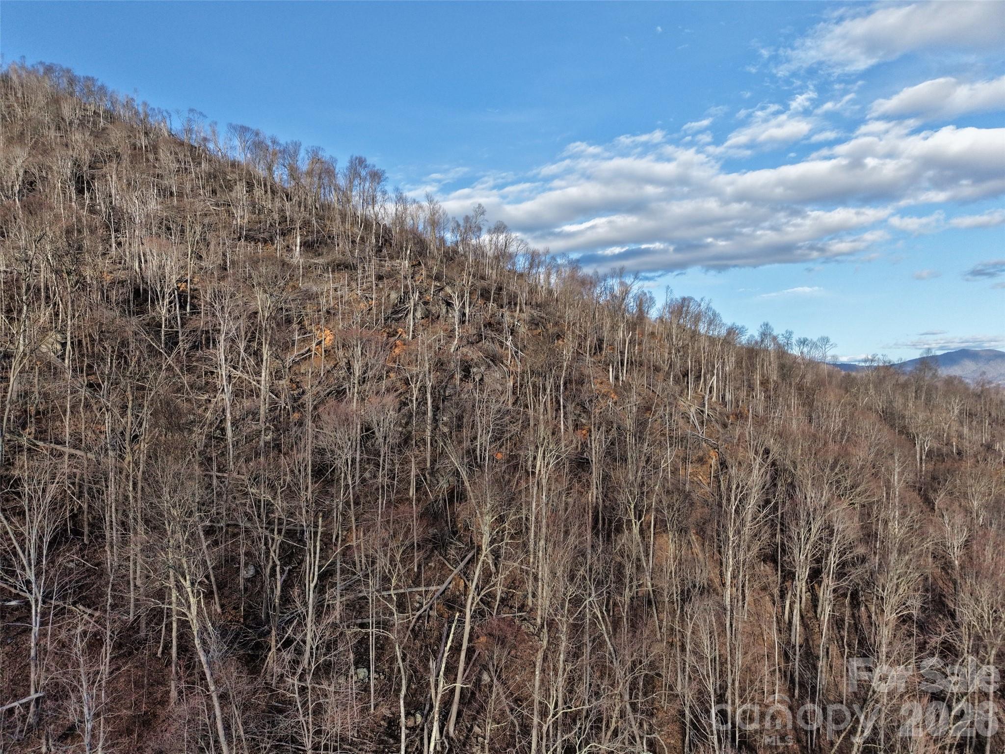 0 Fork Mountain Road Bakersville, NC 28705 - Photo 40 of 45 a view of a building with mountains in the background