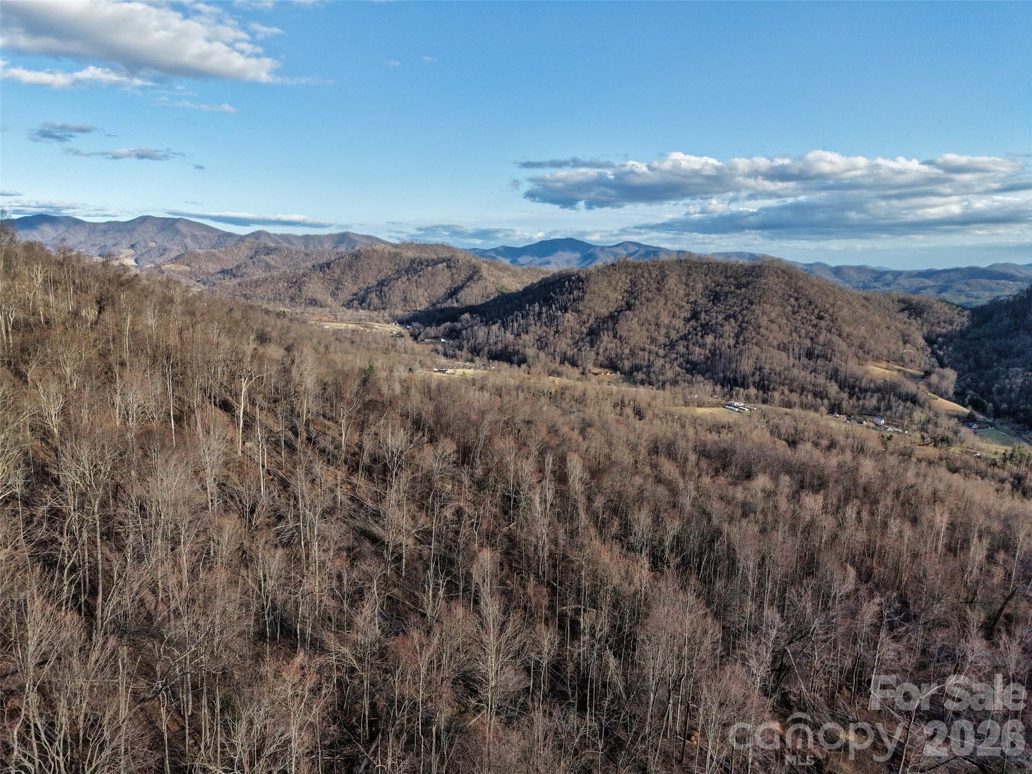 0 Fork Mountain Road Bakersville, NC 28705 - Photo 41 of 45 a view of mountain with lake
