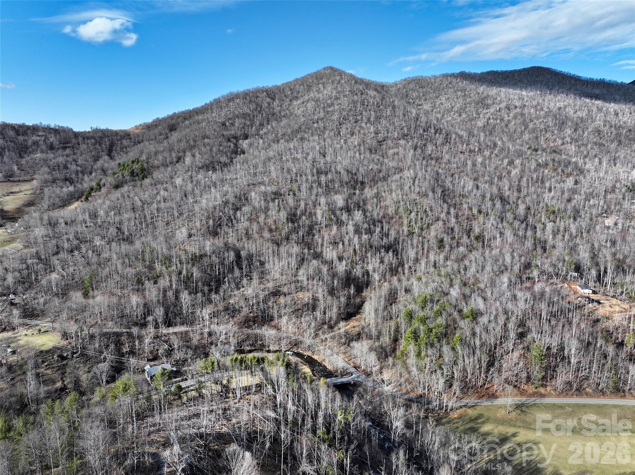 0 Fork Mountain Road Bakersville, NC 28705 - Photo 5 of 45 a view of a dry field with mountains in the background