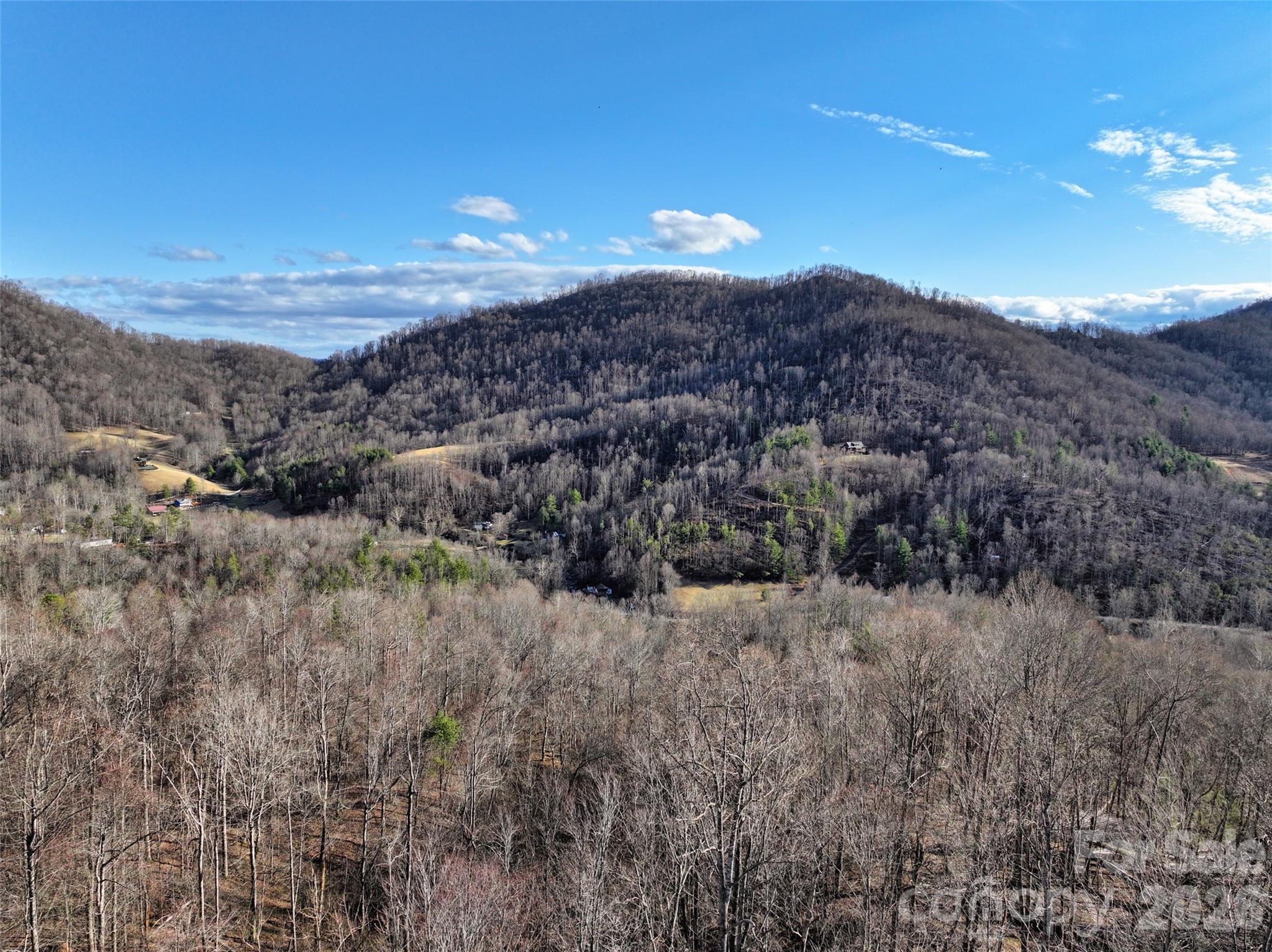 0 Fork Mountain Road Bakersville, NC 28705 - Photo 7 of 45 a view of a dry yard