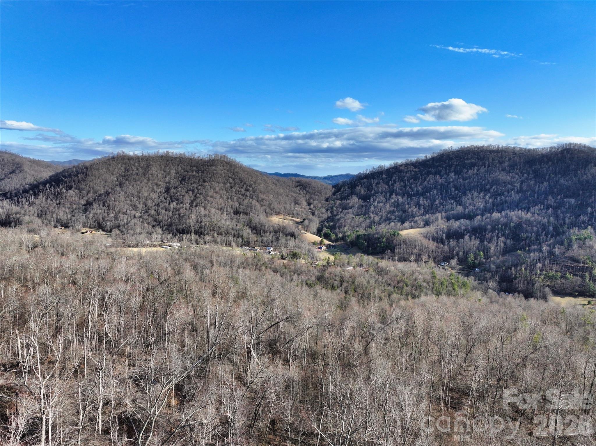 0 Fork Mountain Road Bakersville, NC 28705 - Photo 8 of 45 a view of a yard with an outdoor space