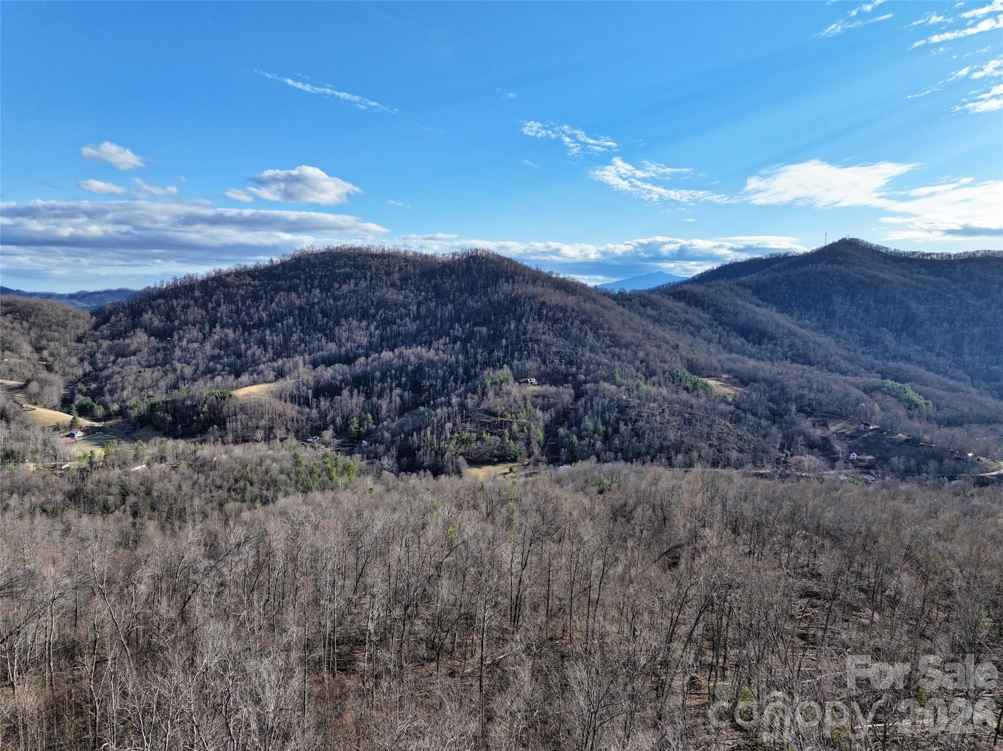 0 Fork Mountain Road Bakersville, NC 28705 - Photo 9 of 45 a view of a dry yard