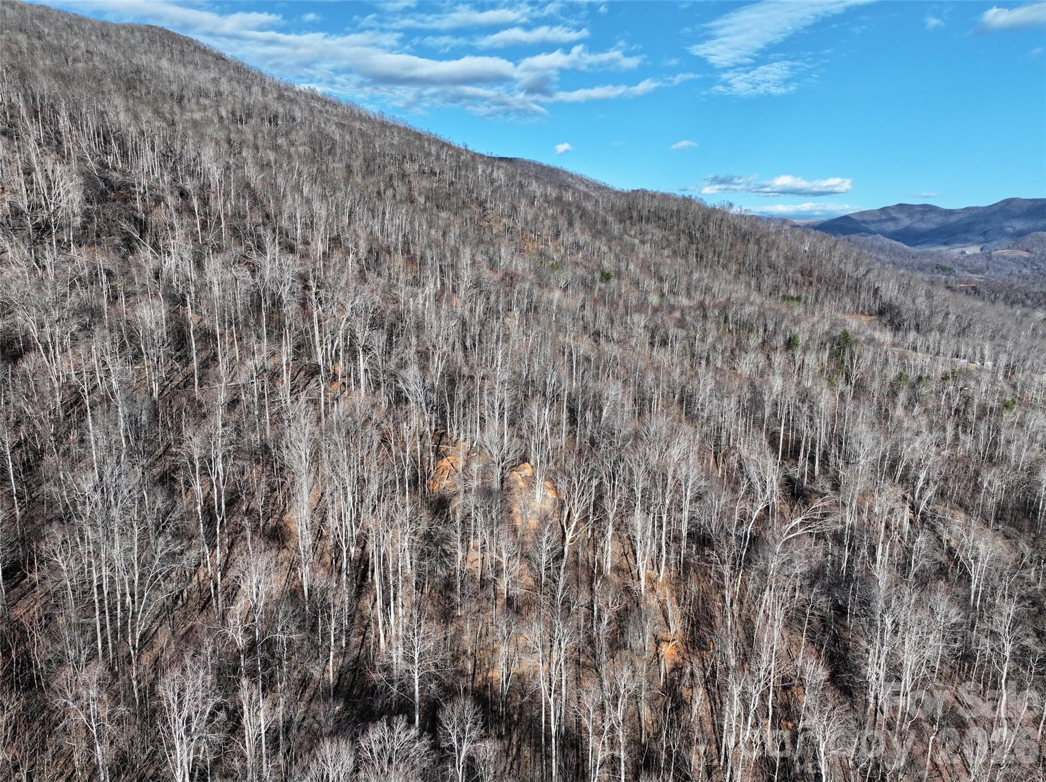 0 Fork Mountain Road Bakersville, NC 28705 - Photo 10 of 45 a view of a dry yard with mountains in the background
