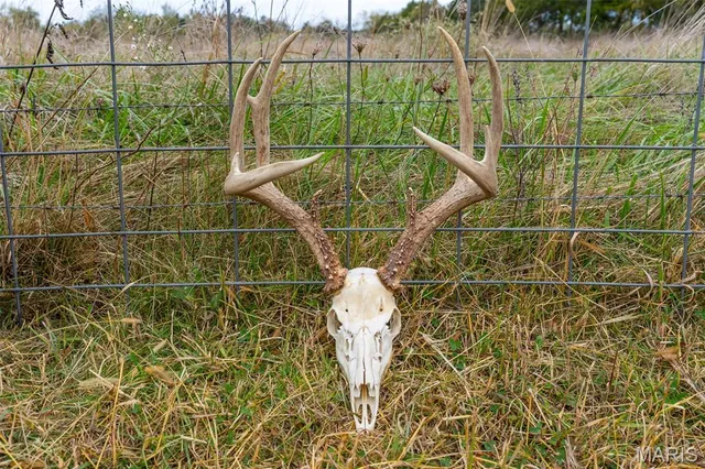 $635,000 | 4325 Hager Road, Bonne Terre, MO 63628