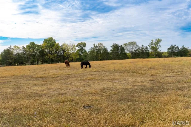 $635,000 | 4325 Hager Road, Bonne Terre, MO 63628