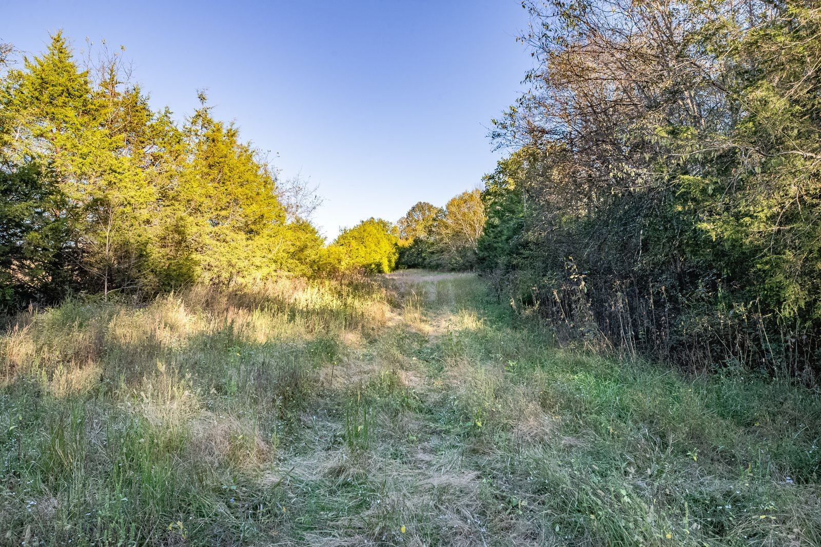 2761 Joe Reeves Road Columbia, TN 38401 - Photo 58 of 64 Gallery Image 58