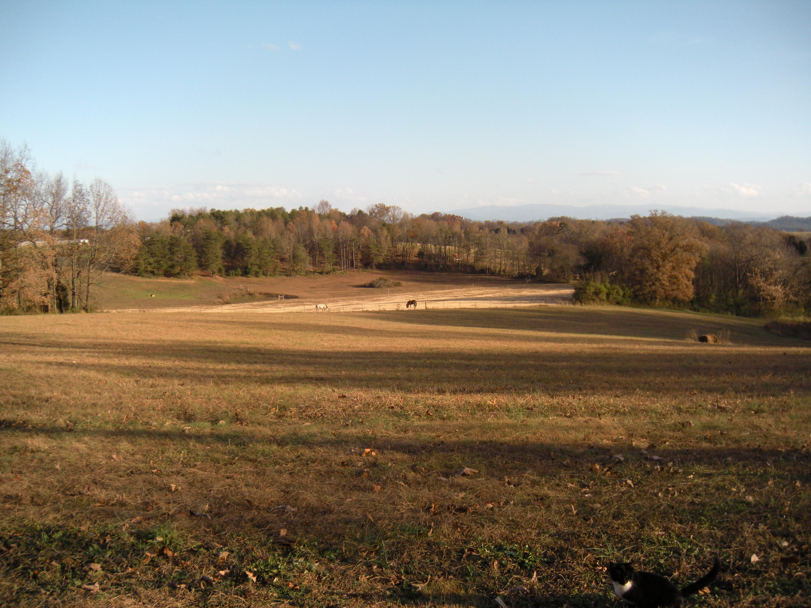 1080 Kiser Road Philadelphia, TN 37846 - Photo 1 of 25 1080 Kiser Road Property 1 David Pozy
