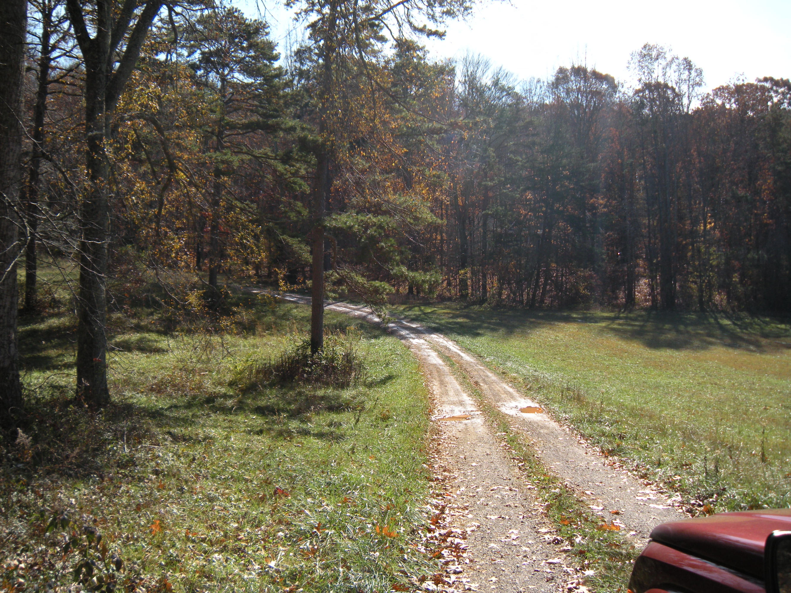 1080 Kiser Road Philadelphia, TN 37846 - Photo 2 of 25 1080 Kiser Road Property 2 David Pozy