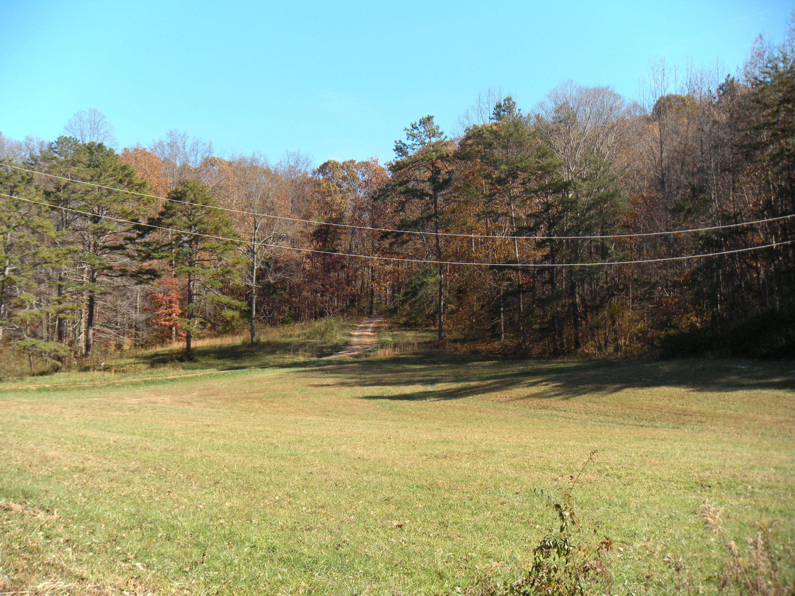 1080 Kiser Road Philadelphia, TN 37846 - Photo 11 of 25 1080 Kiser Road Property 11 David Pozy