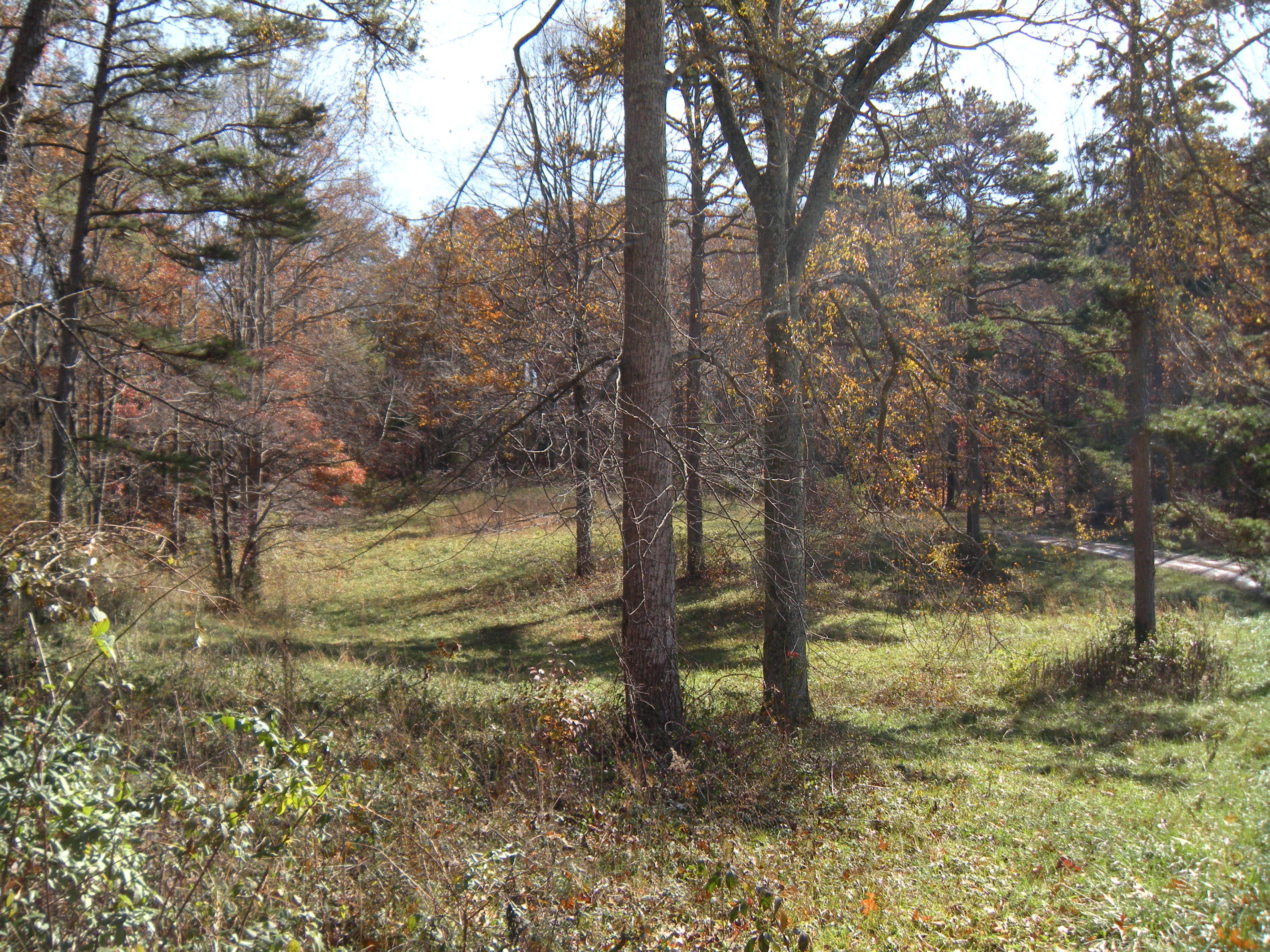 1080 Kiser Road Philadelphia, TN 37846 - Photo 12 of 25 1080 Kiser Road Property 12 David Pozy