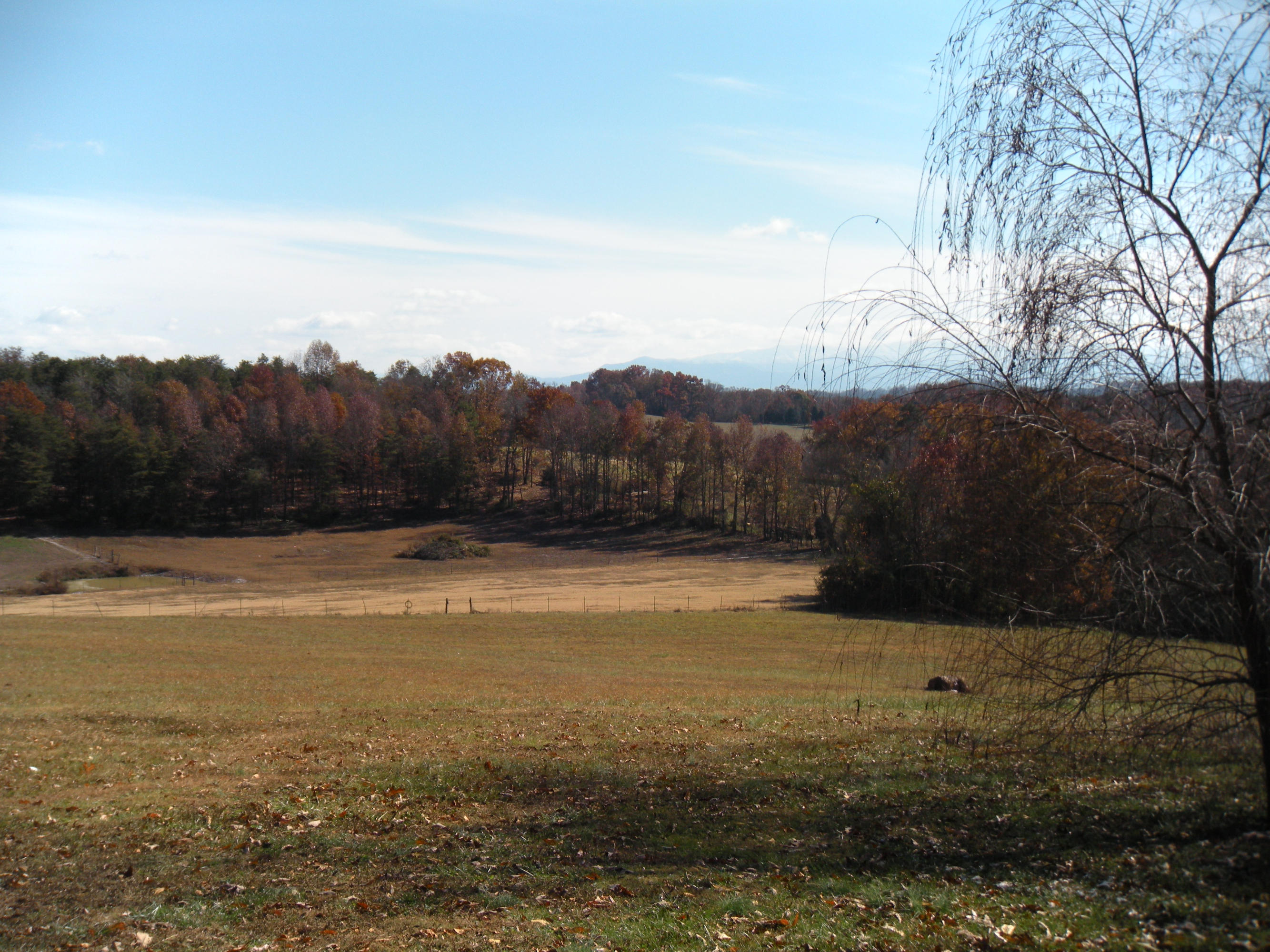 1080 Kiser Road Philadelphia, TN 37846 - Photo 13 of 25 1080 Kiser Road Property 13 David Pozy