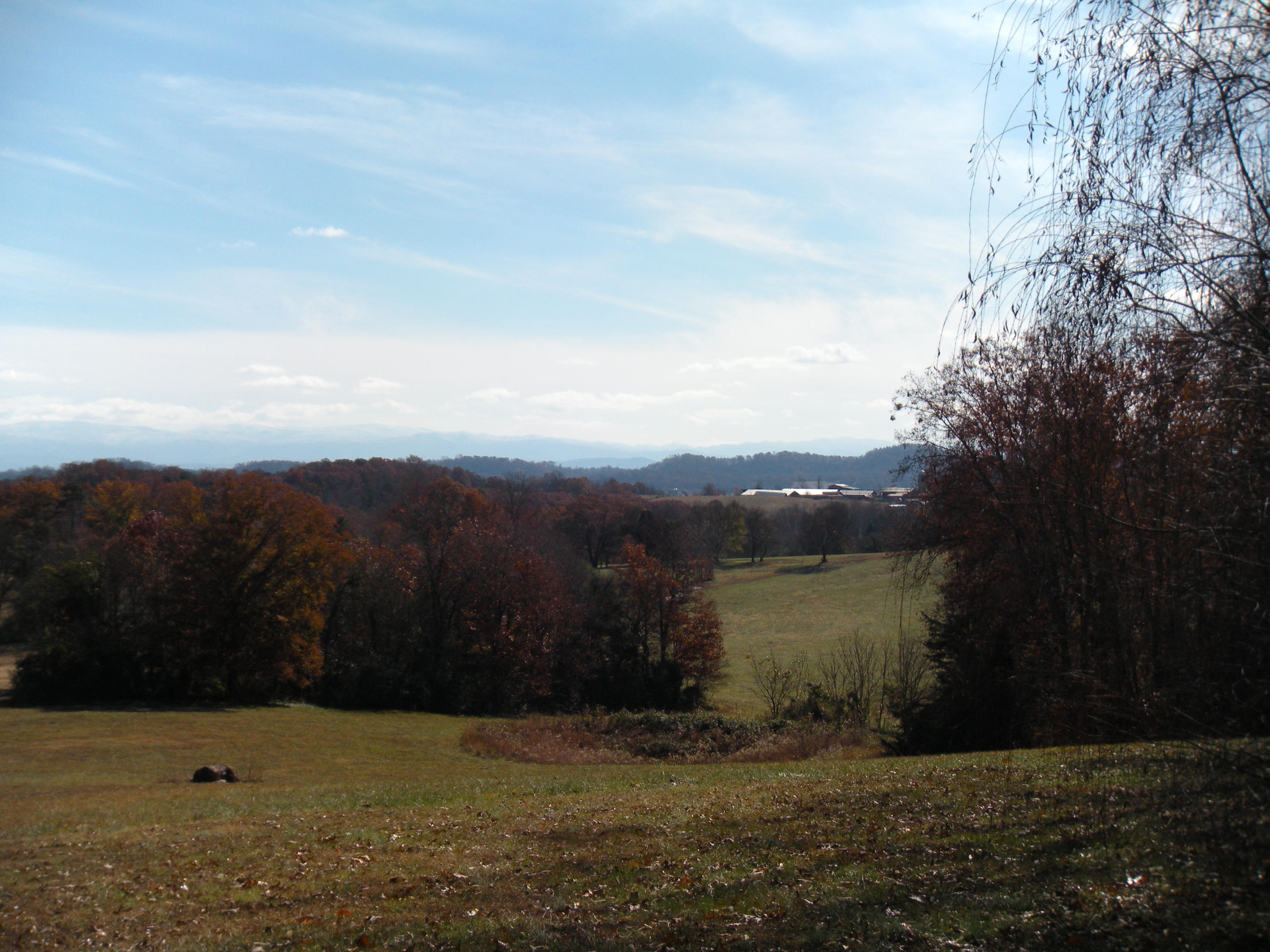 1080 Kiser Road Philadelphia, TN 37846 - Photo 14 of 25 1080 Kiser Road Property 14 David Pozy