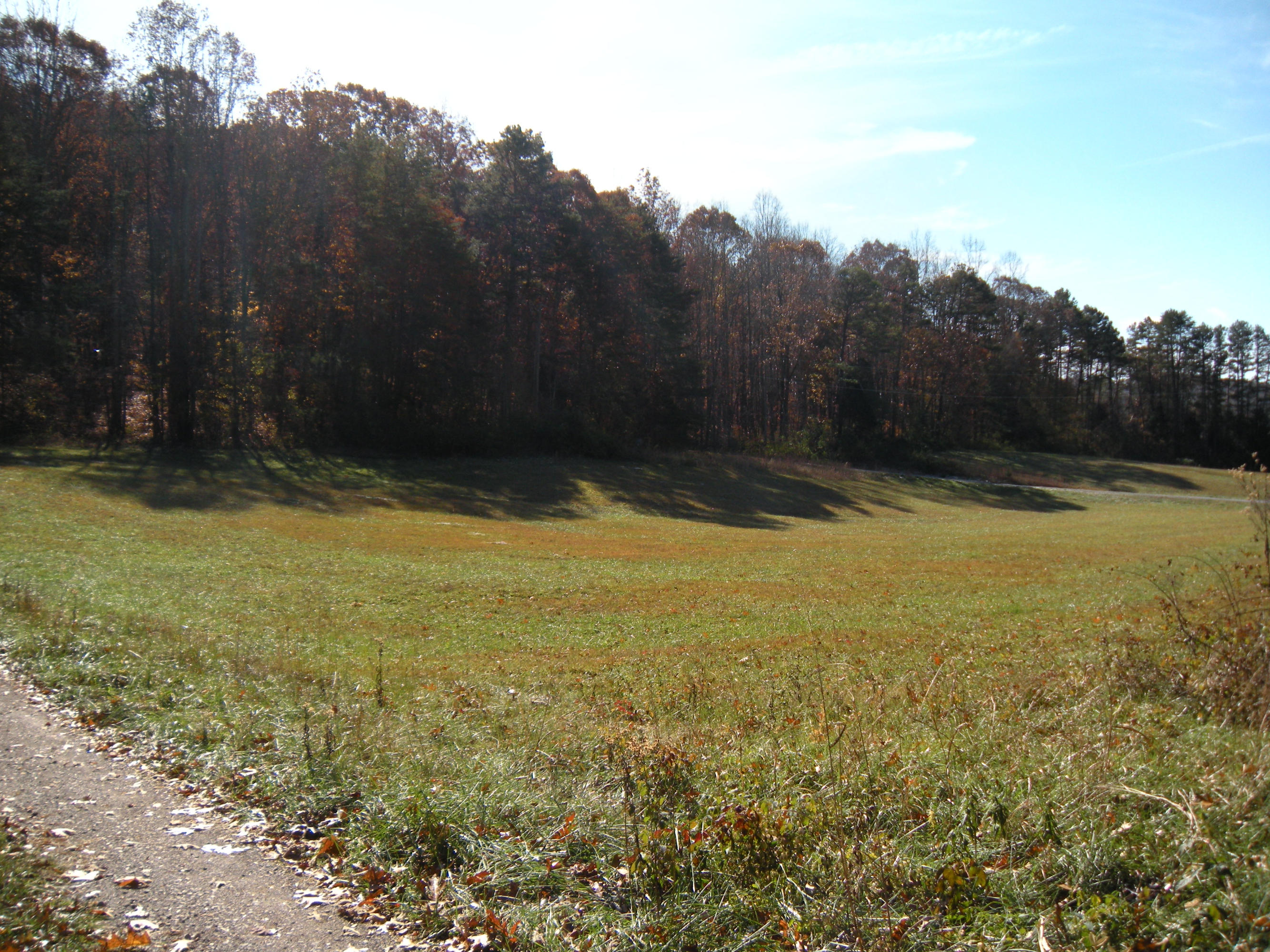 1080 Kiser Road Philadelphia, TN 37846 - Photo 3 of 25 1080 Kiser Road Property 3 David Pozy