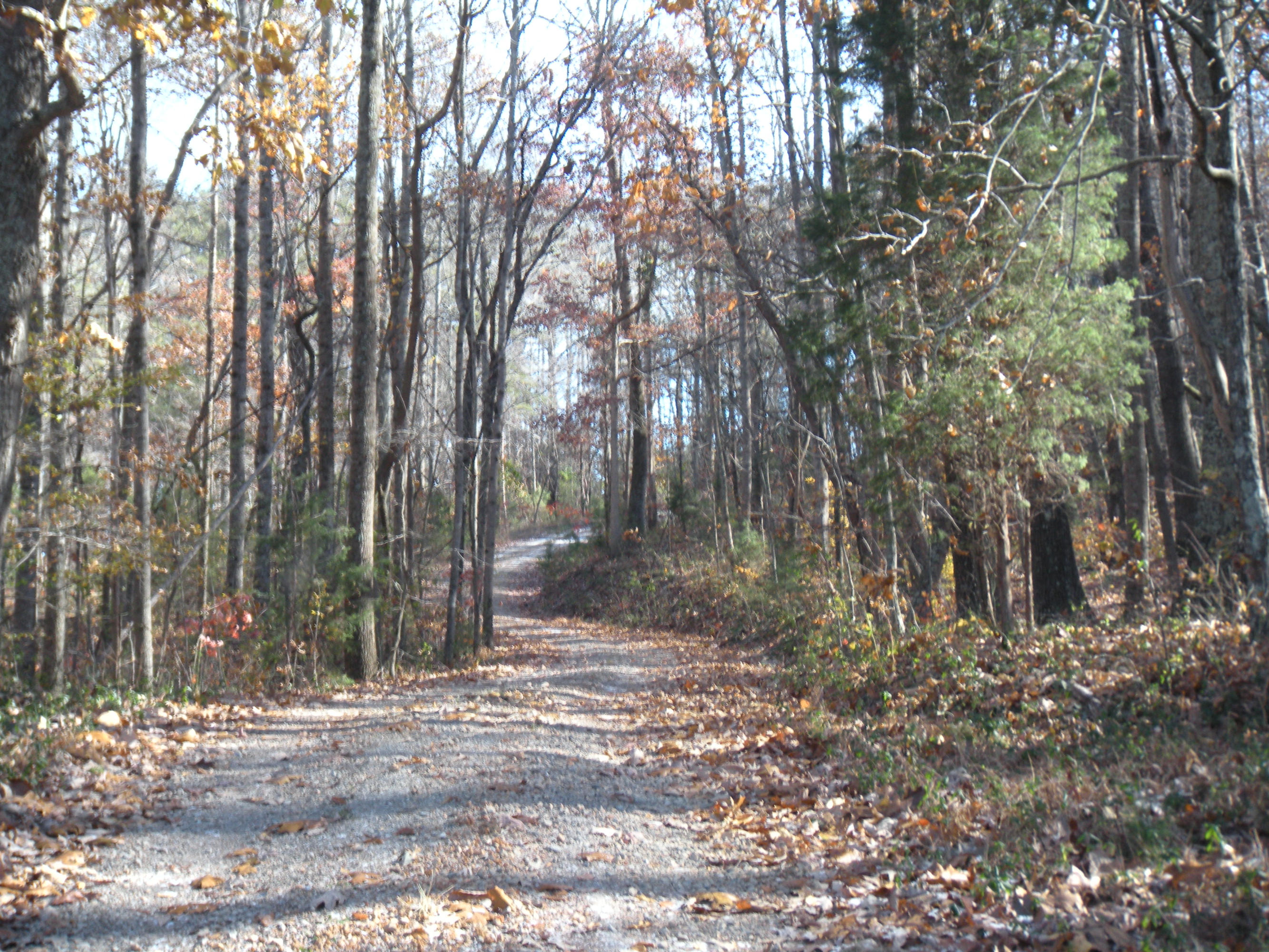 1080 Kiser Road Philadelphia, TN 37846 - Photo 4 of 25 1080 Kiser Road Property 4 David Pozy
