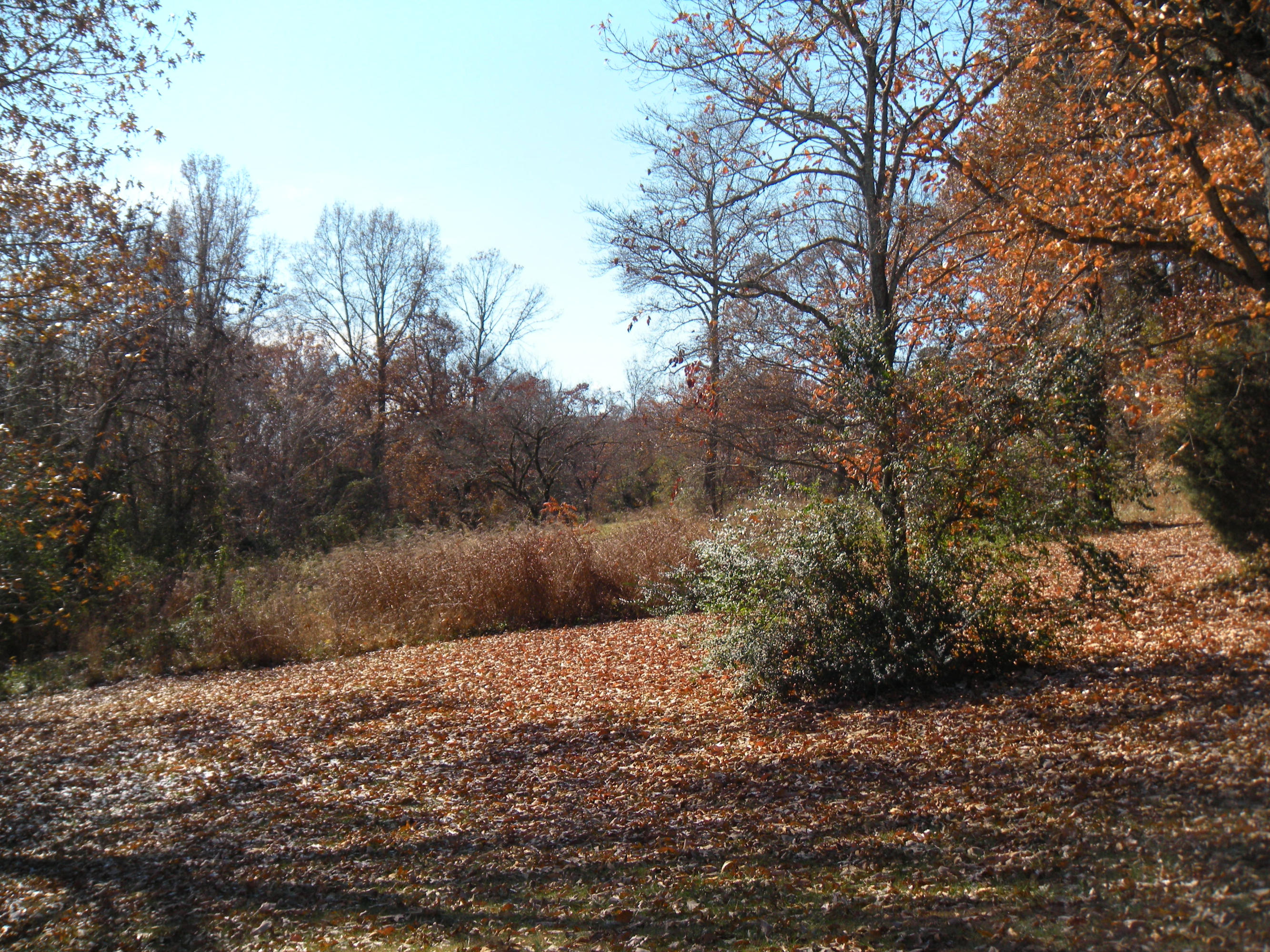 1080 Kiser Road Philadelphia, TN 37846 - Photo 7 of 25 1080 Kiser Road Property 7 David Pozy