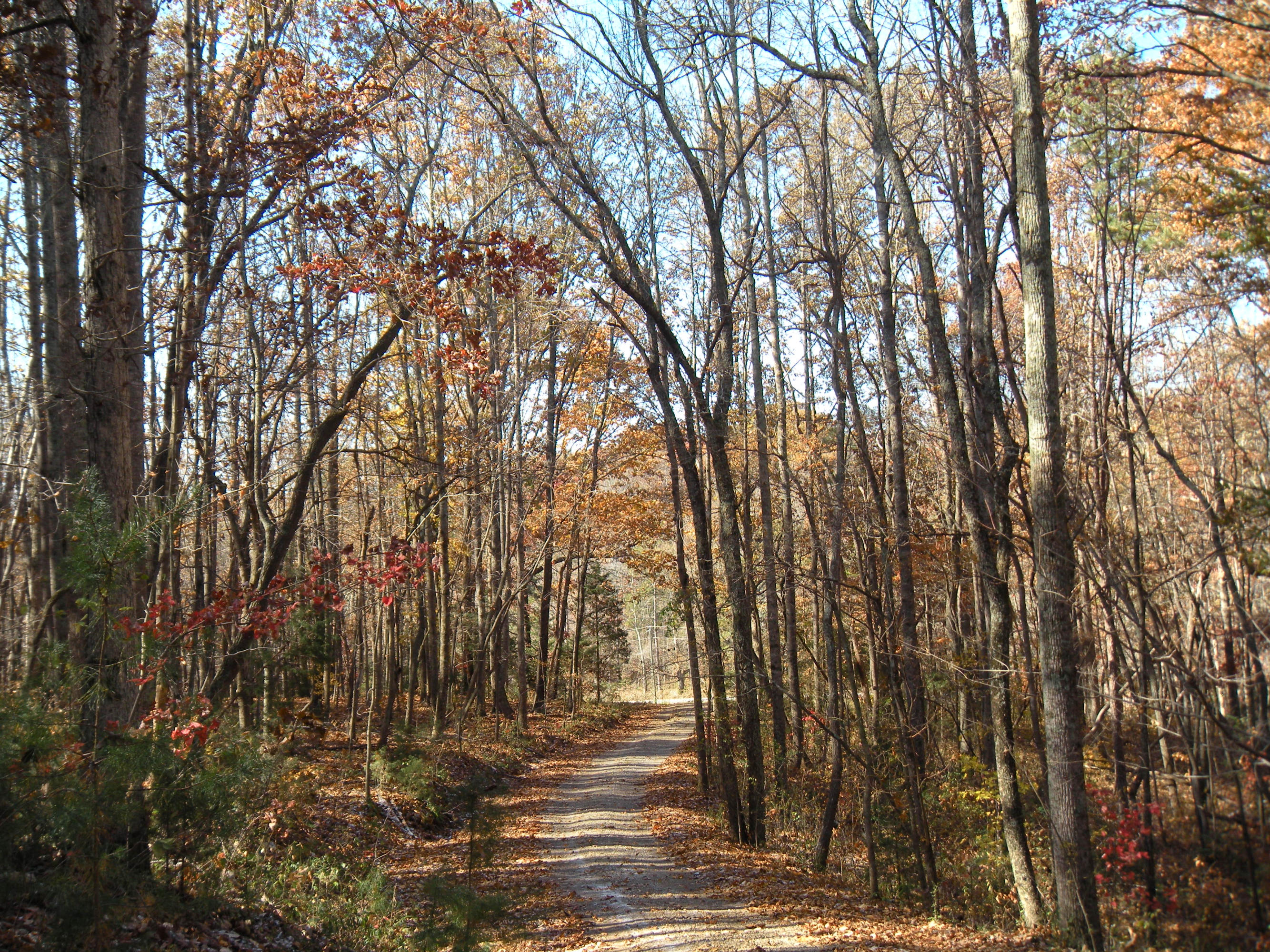 1080 Kiser Road Philadelphia, TN 37846 - Photo 8 of 25 1080 Kiser Road Property 8 David Pozy