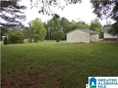 655 Wilson Chapel Road Oneonta, AL 35121 - Photo 9 of 10