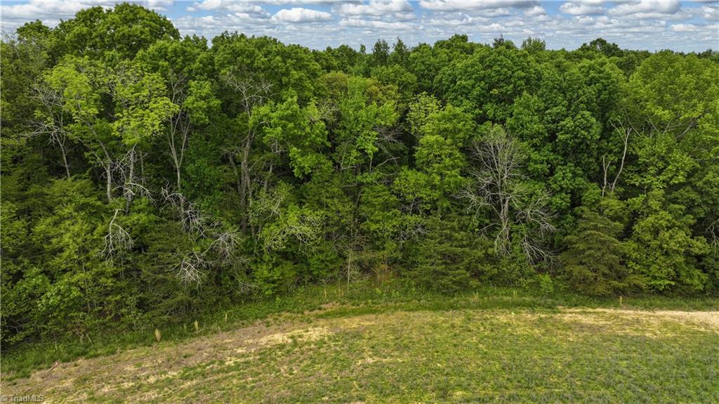 0 Russell Road Denton, NC 27239 - Photo 18 of 19 Gallery Image 18