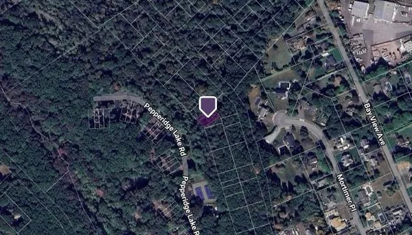 a close view of electric trees