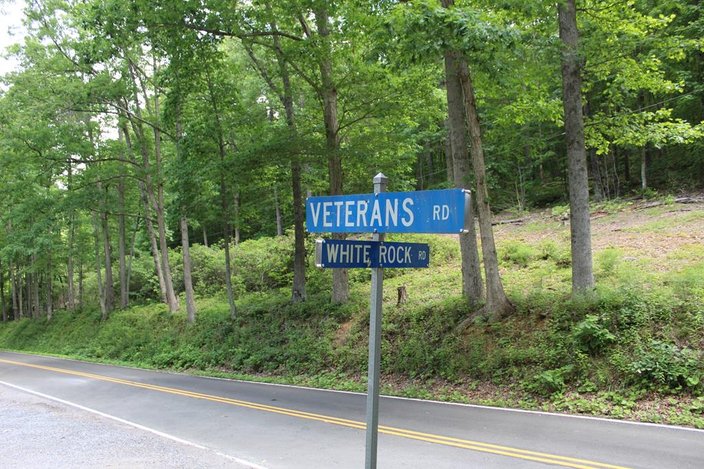 Tbd Veterans Road, Unit 2 Broadford, VA 24316 - Photo 14 of 18 Gallery Image 14
