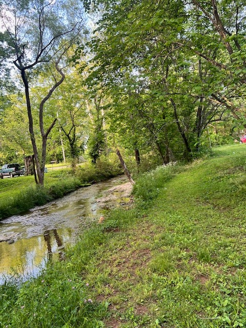 698 Clearview Road Cottontown, TN 37048 - Photo 11 of 23 a view of a yard with plants and large trees