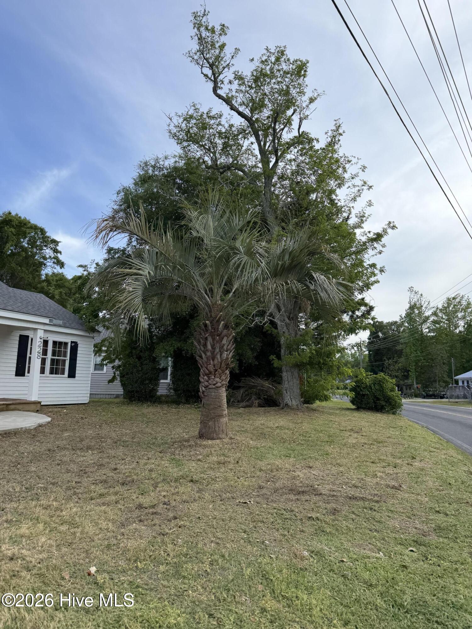 228 Fulcher Landing Road Sneads Ferry, NC 28460 - Photo 2 of 34 IMG_1815