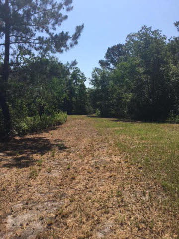 0 Deborah Steele Lane Fairhope, AL 36532 - Photo 8 of 24 Property View