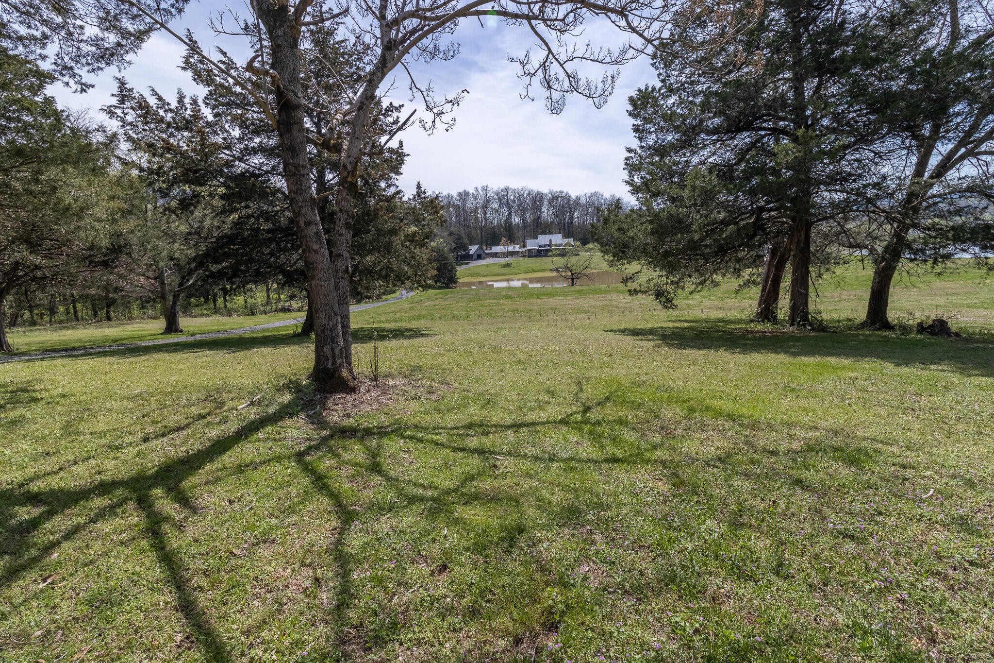 188 Johnny Lewis Road Dunlap, TN 37327 - Photo 4 of 83 Gallery Image 4