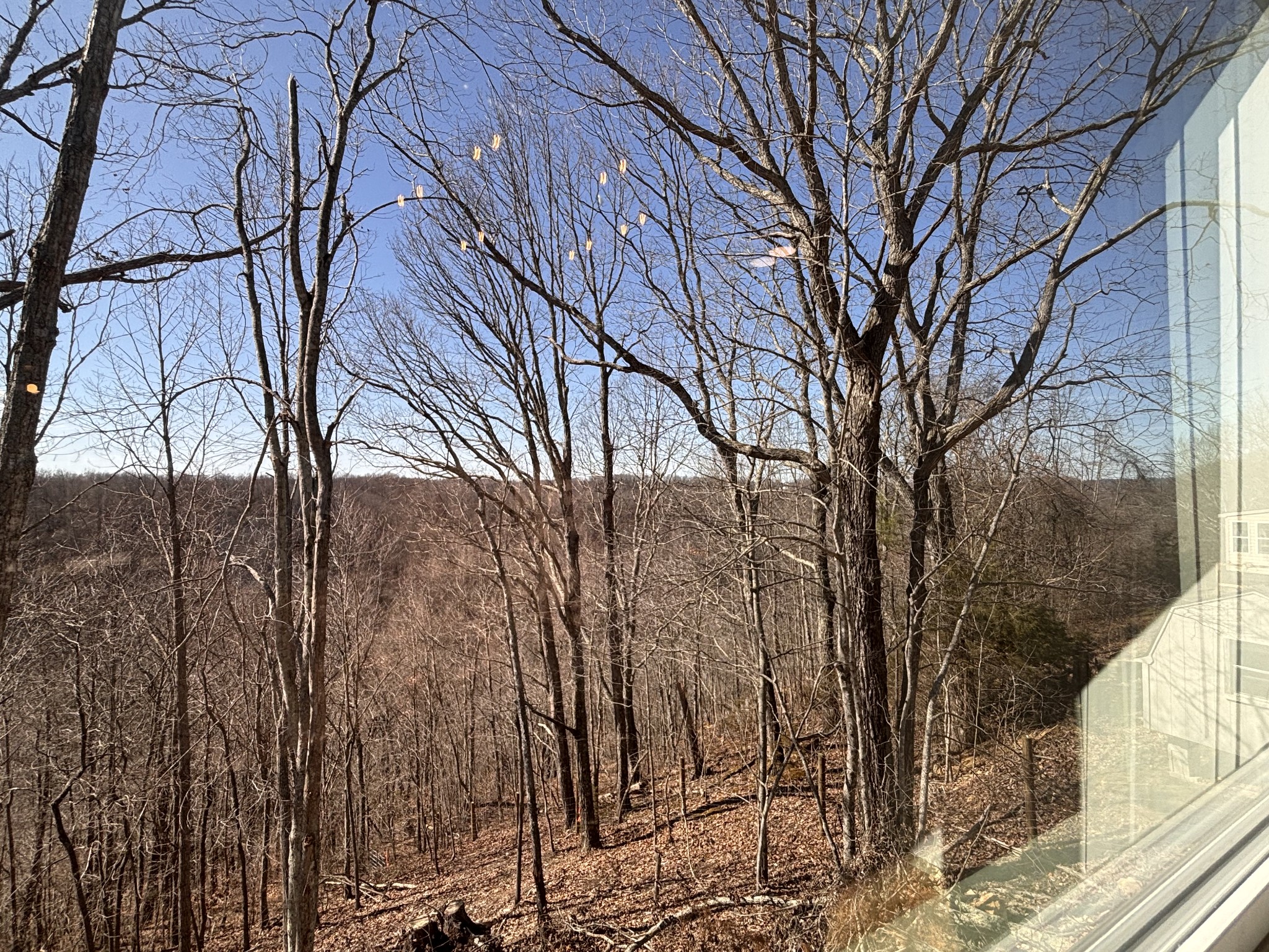 485 Baron Bluff Road Smithville, TN 37166 - Photo 8 of 28 a backyard of a house with lots of green space