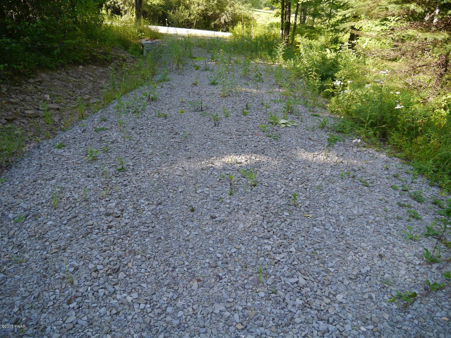 Lot 6 Beech Road Equinunk, PA 18417 - Photo 3 of 4