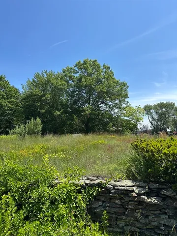 a view of a lake with a yard