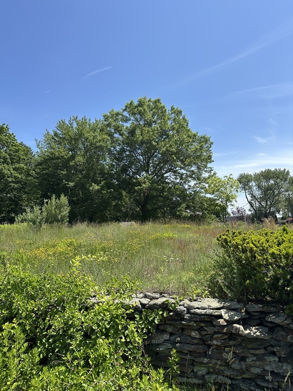 a view of a lake with a yard