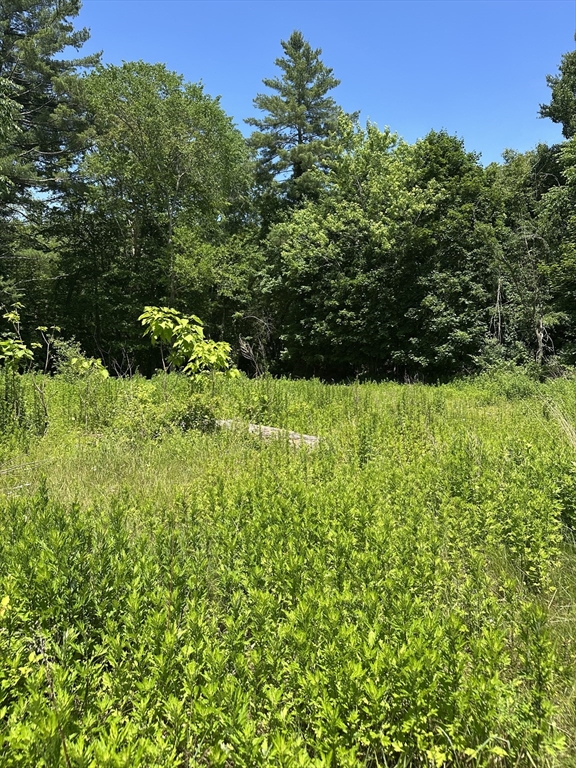 80 Phillips Street Hanson, MA 02341 - Photo 6 of 9 a view of a garden with plants