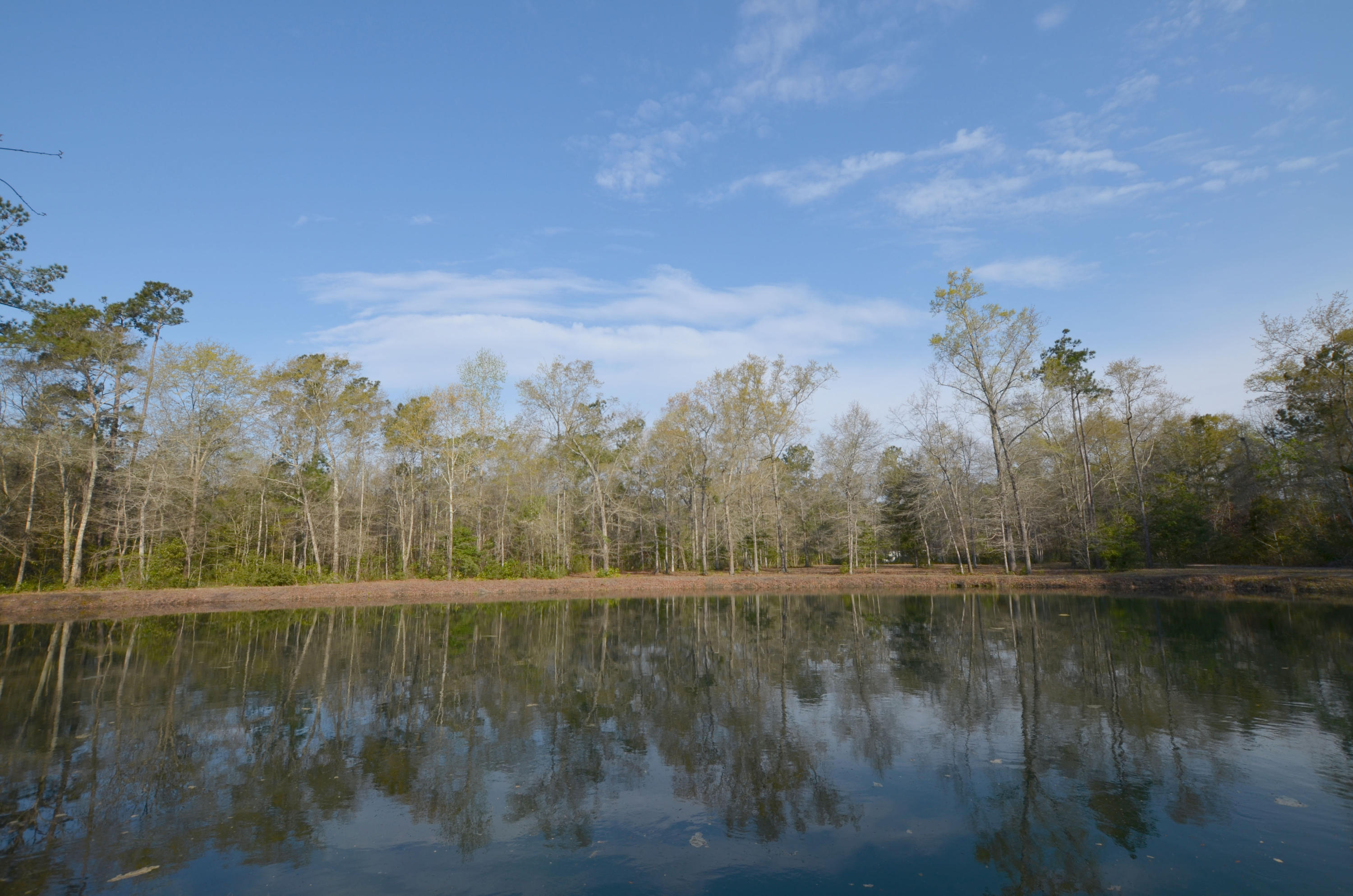 3 A Old Georgetown Road McClellanville, SC 29458 - Photo 2 of 9 DSC_0010.JPG