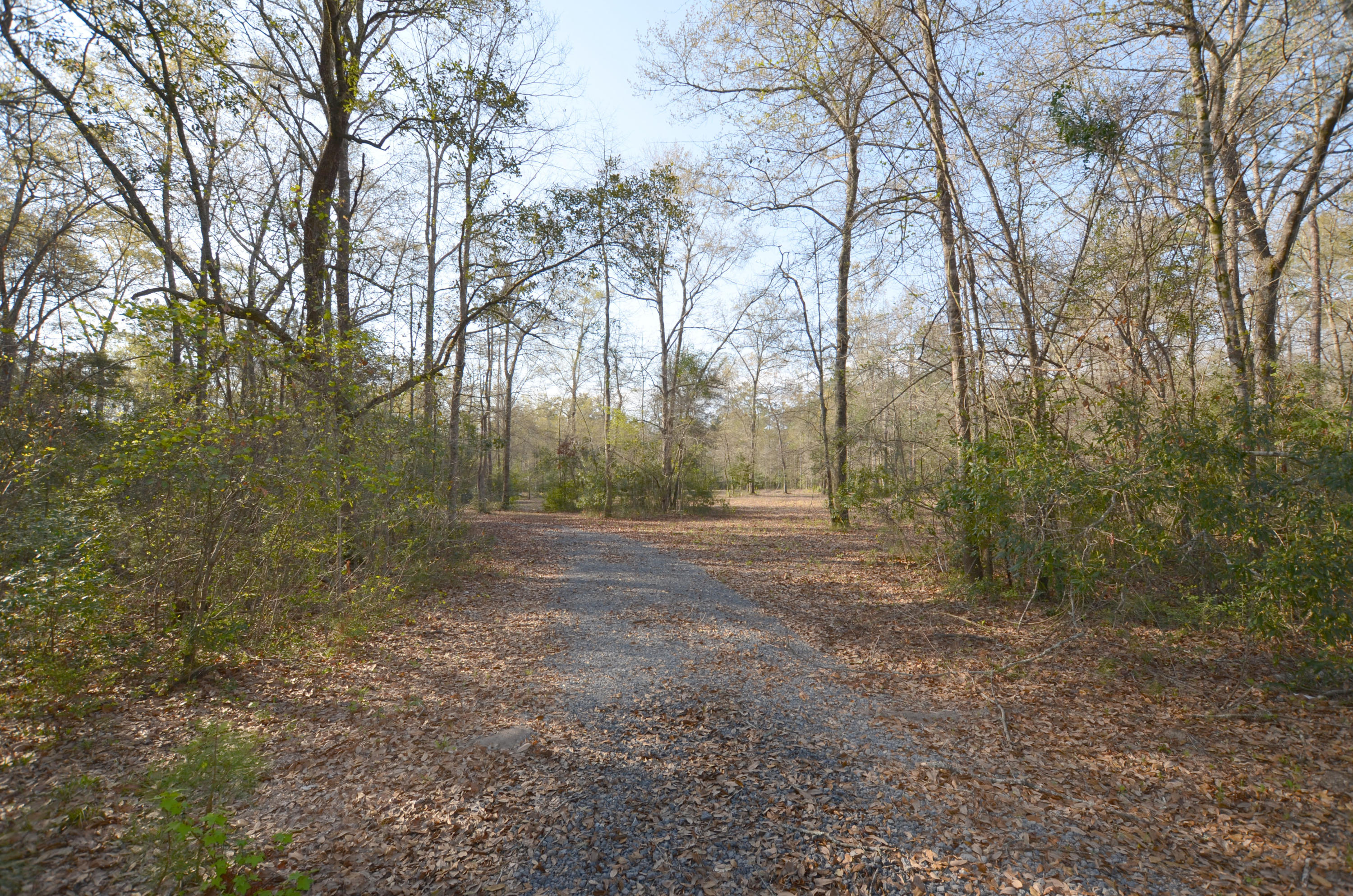 3 A Old Georgetown Road McClellanville, SC 29458 - Photo 3 of 9 DSC_0001.JPG