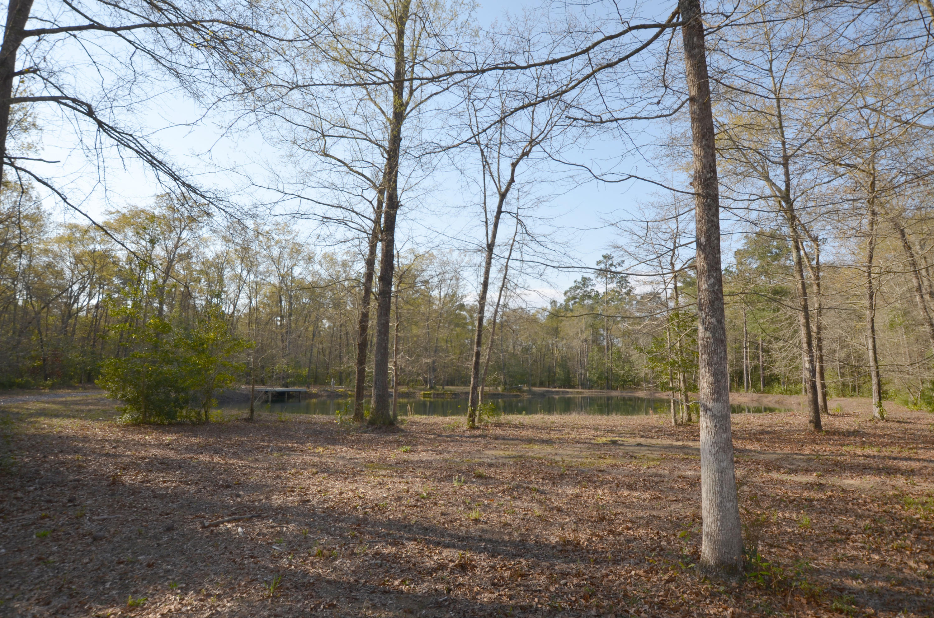 3 A Old Georgetown Road McClellanville, SC 29458 - Photo 4 of 9 DSC_0003.JPG