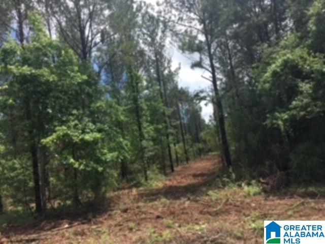 325 Springhill Road, Unit 1 Talladega, AL 35160 - Photo 30 of 31