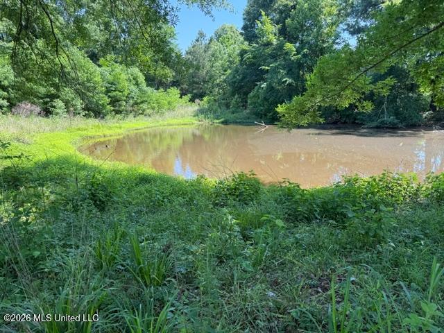 53 Cliffs Plantation Road Natchez, MS 39120 - Photo 10 of 23 53 Cliffs Plantation Pic 10