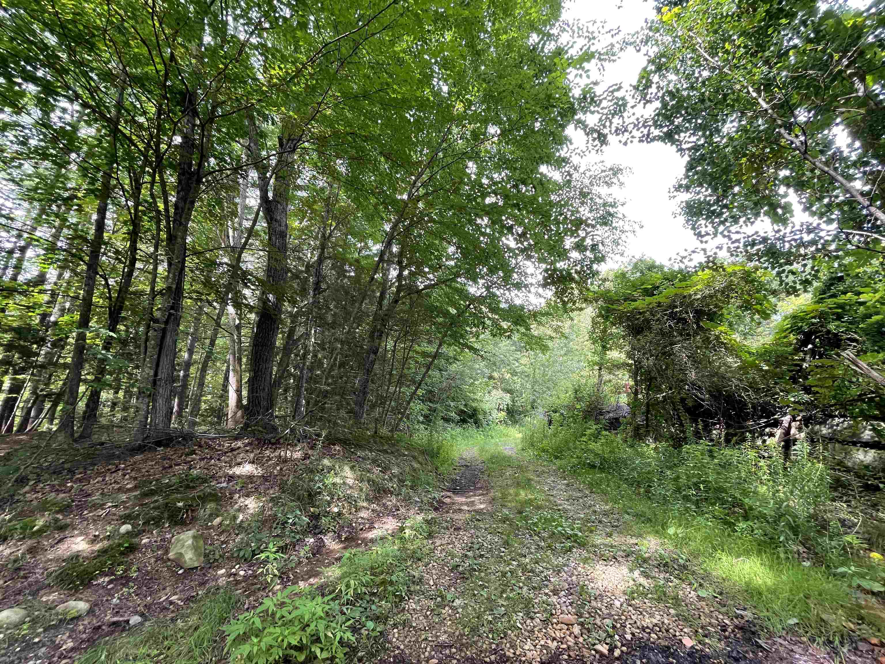 99 Powers Street, Unit 174 Milford, NH 03055 - Photo 49 of 49