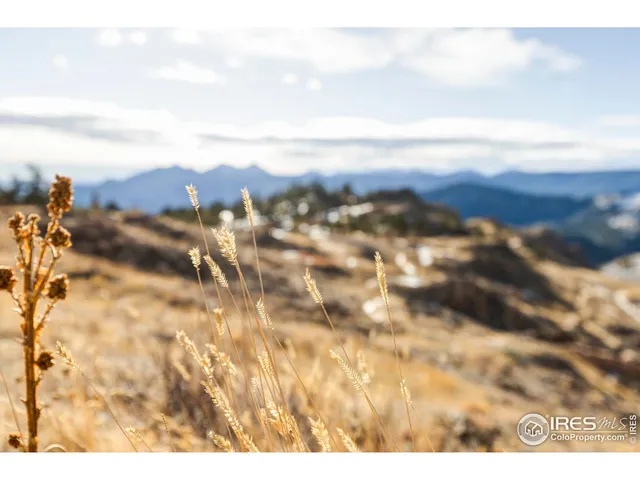 a view of a yard with wooden fence